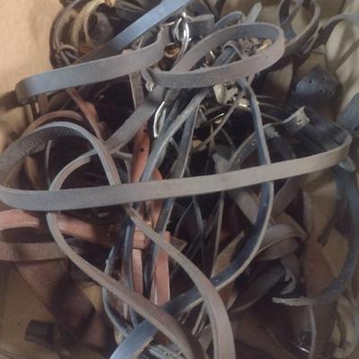 Collection of Leather Horse Riding Accessories
