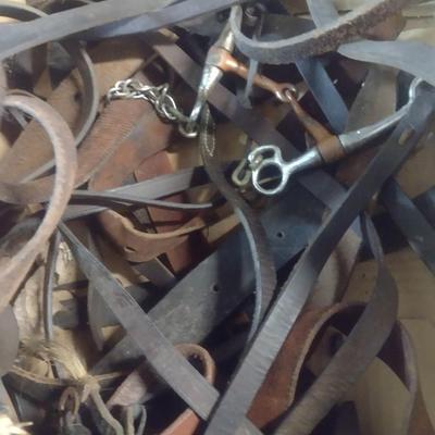 Collection of Leather Horse Riding Accessories