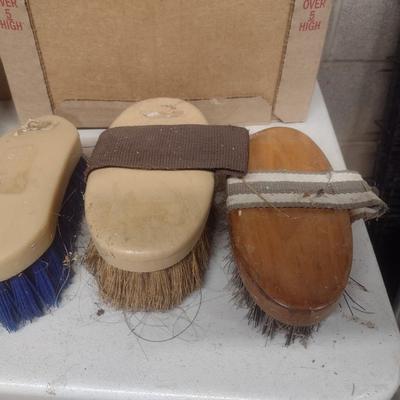 Horse Care Items