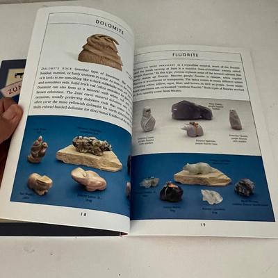 Zuni Fetishes with Medicine Bundles plus Guide Books (LR-RG)