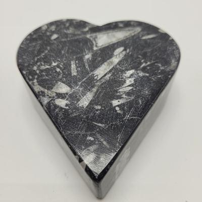 Orthoceras Fossils (D-EL)