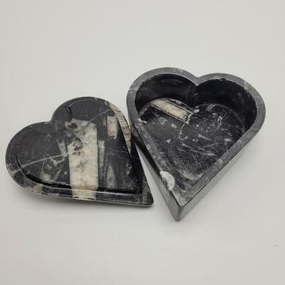 Orthoceras Fossils (D-EL)