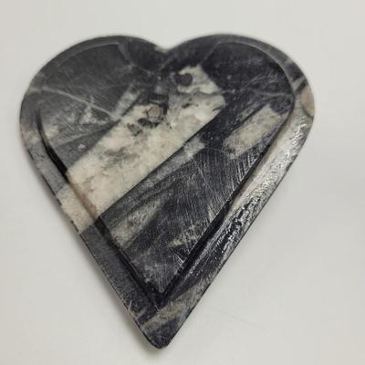 Orthoceras Fossils (D-EL)