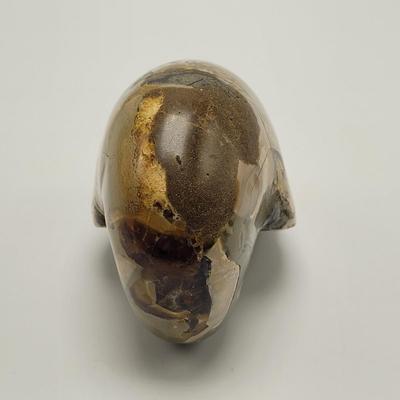 Three Polished Ammonite Fossils (D-EL)