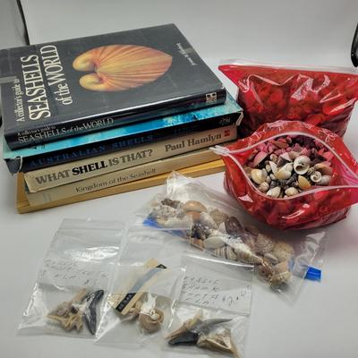 Large Collection of Shells and Shell Books (D-EL)