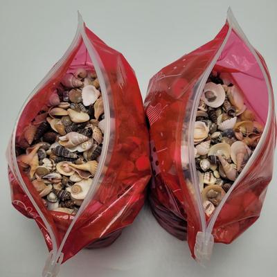 Large Collection of Shells and Shell Books (D-EL)