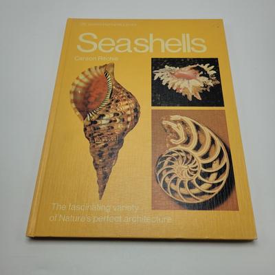 Large Collection of Shells and Shell Books (D-EL)