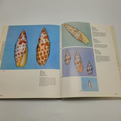 Large Collection of Shells and Shell Books (D-EL)