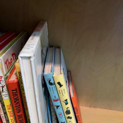 Huge Pile of Children's VINTAGE Books 