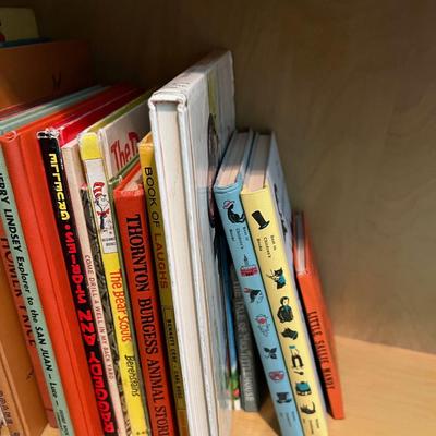 Huge Pile of Children's VINTAGE Books 