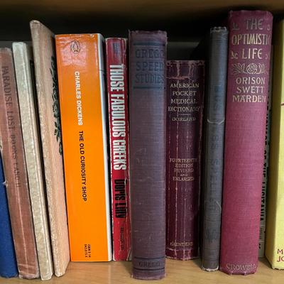 2 Full Shelves of Adult Novels and Texts Book, VINTAGE! Some Antique! 