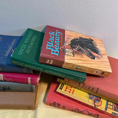 Vintage Young Adult Books