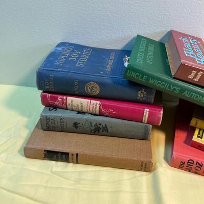 Vintage Young Adult Books