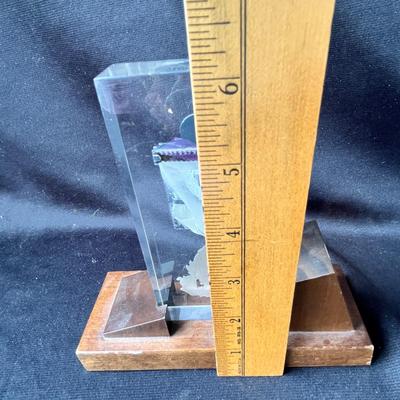 Lot 111 Colorado Shooting Trophy