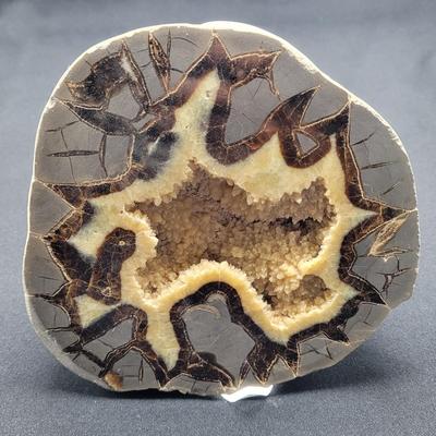 Large Septarian Stone Geode (D-EL)