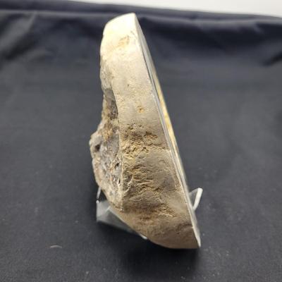 Large Septarian Stone Geode (D-EL)