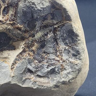 Large Septarian Stone Geode (D-EL)