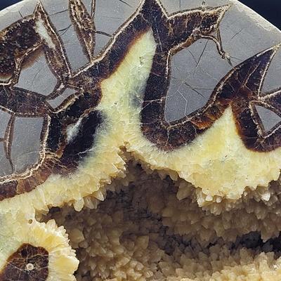 Large Septarian Stone Geode (D-EL)