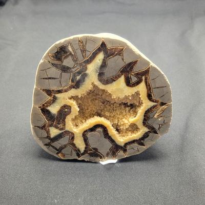 Large Septarian Stone Geode (D-EL)