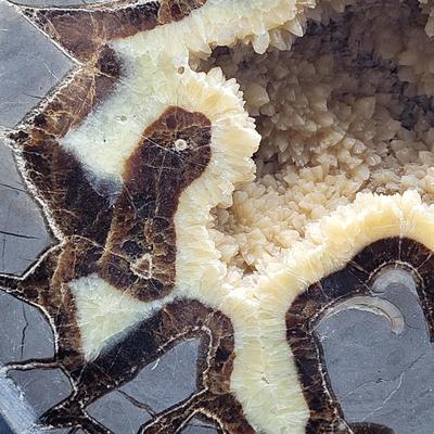 Large Septarian Stone Geode (D-EL)