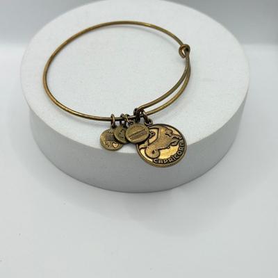 LOT 90J: Alex and Ani Charm Bracelets: Capricorn, Young & Strong, Paw Print & More