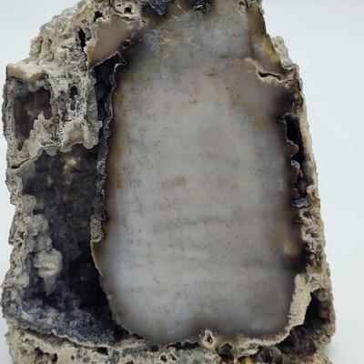 Six Agatized Coral Geodes (D-EL)