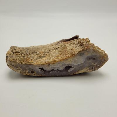 Six Agatized Coral Geodes (D-EL)