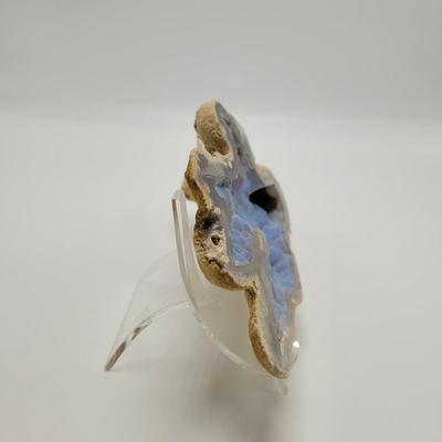 Six Agatized Coral Geodes (D-EL)