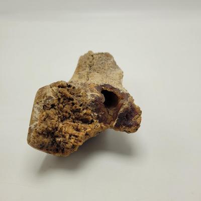 Six Agatized Coral Geodes (D-EL)