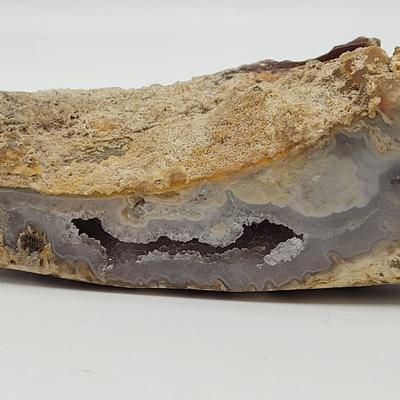 Six Agatized Coral Geodes (D-EL)