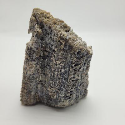 Six Agatized Coral Geodes (D-EL)