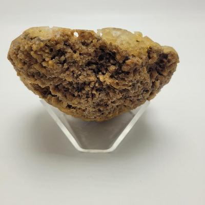 Six Agatized Coral Geodes (D-EL)