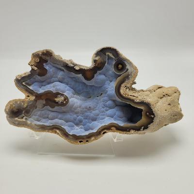 Six Agatized Coral Geodes (D-EL)