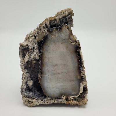 Six Agatized Coral Geodes (D-EL)