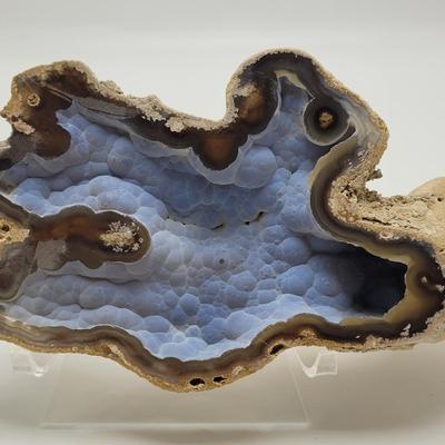 Six Agatized Coral Geodes (D-EL)