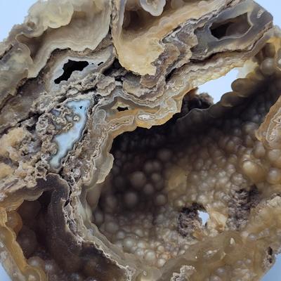 Six Agatized Coral Geodes (D-EL)