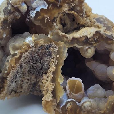 Six Agatized Coral Geodes (D-EL)