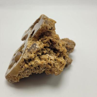 Six Agatized Coral Geodes (D-EL)