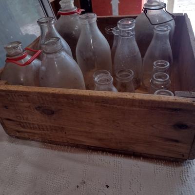 Collection of Vintage Glass Milk Bottles Various Sizes in Old Shipping Wood Crate (#51)
