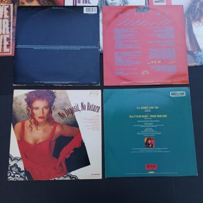 LOT 200: Vintage Eighties Vinyl - Samatha Fox, Pat Benatar, Taylor Dayne, Sade and More