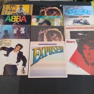 LOT 210: Vintage Albums - The Doors, David Bowie, Freddy Mercury and More