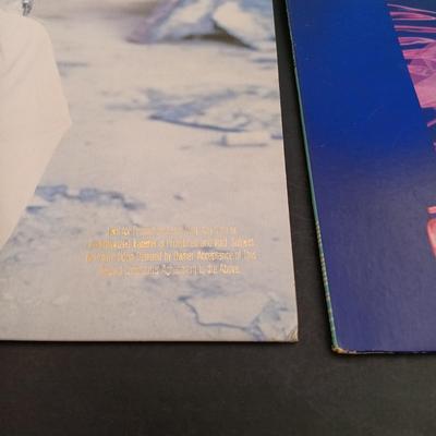 LOT 219: Vintage Vinyl - Cher, Blondie, Gloria Estefan, Heart, Donna Summer and More