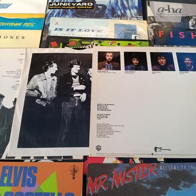 LOT 221: Vinyl Record Collection - Elvis Costello, Nirvana, Duran Duran, Men At Work and More