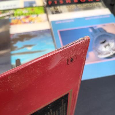 LOT 221: Vinyl Record Collection - Elvis Costello, Nirvana, Duran Duran, Men At Work and More