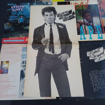LOT 223: Classic Albums - Limited Edition Picture Disc, Daryl Hall and John Oates, The Pretenders, The Police, Stray Cats and More