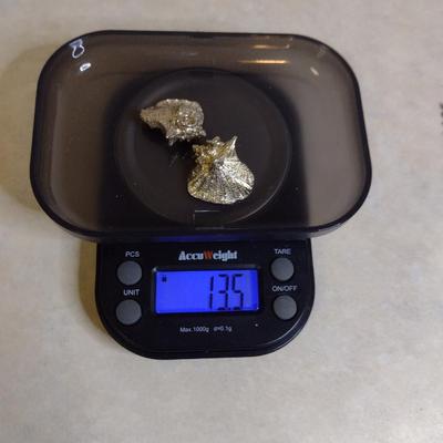 Pair of Conch Shell Design Pendants/Charms- Marked 'Bahamas' (#73)