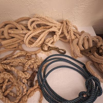 lead ropes and other ropes