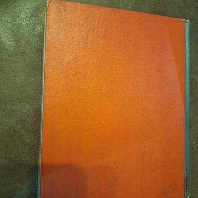 vintage book- A fly went by