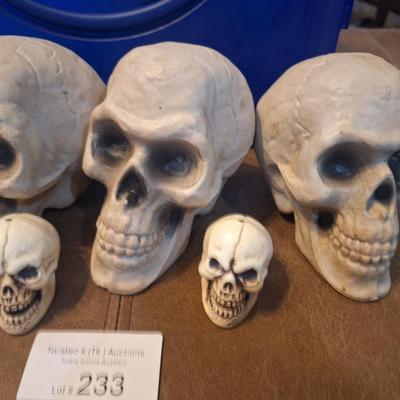 Halloween décor- fake skulls