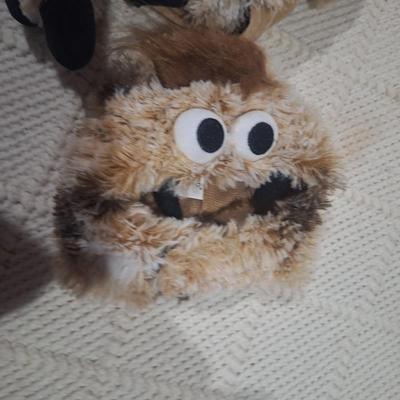 Halloween costume for small dogs- fluffy spider